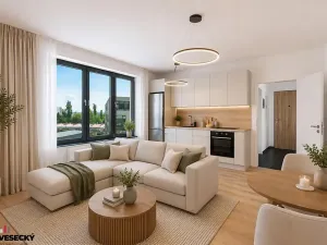 Prodej bytu 1+kk, Plzeň, Železná, 34 m2