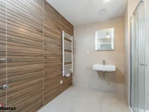 Prodej bytu 1+kk, Plzeň, Železná, 34 m2