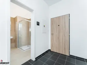 Prodej bytu 1+kk, Plzeň, Železná, 34 m2