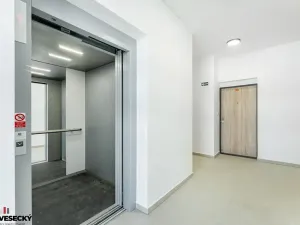 Prodej bytu 1+kk, Plzeň, Železná, 34 m2