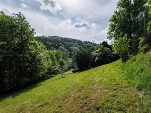 Prodej rodinného domu, Tanvald, U Lávky, 80 m2