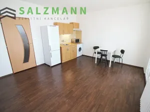 Prodej bytu 1+kk, Praha - Kamýk, Otradovická, 35 m2