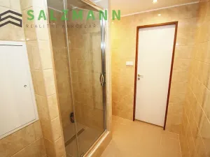 Prodej bytu 1+kk, Praha - Kamýk, Otradovická, 35 m2