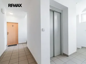 Pronájem bytu 2+kk, Plzeň, Waltrova, 62 m2