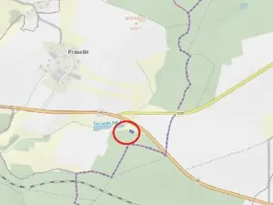 Prodej lesa, Dolní Hořice, 3279 m2