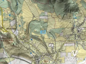 Prodej podílu lesa, Žitenice, 1311 m2