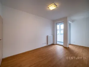 Prodej bytu 2+kk, České Budějovice - České Budějovice 5, Dobrovodská, 42 m2