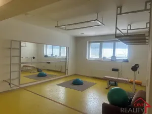 Pronájem ordinace, Napajedla, Dr. Beneše, 375 m2