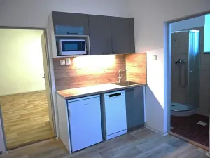 Pronájem výrobních prostor, Bílovice nad Svitavou, Obřanská, 249 m2