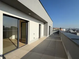 Prodej bytu 3+kk, Brno, Nové sady, 81 m2