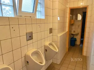 Pronájem restaurace, Písek, Hradiště, 497 m2