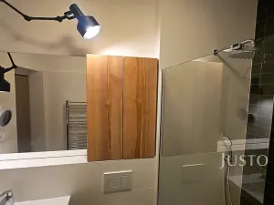 Pronájem bytu 4+kk, Písek, Za Nádražím, 85 m2