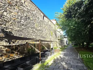Pronájem obchodního prostoru, Písek, V Koutě, 230 m2