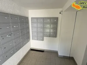 Pronájem bytu 1+1, Ostrava, Klegova, 40 m2
