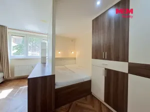 Pronájem bytu 2+1, Ostrov, Luční, 55 m2