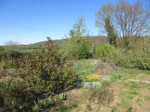 Prodej zahrady, Brno, Řezáčova, 1392 m2