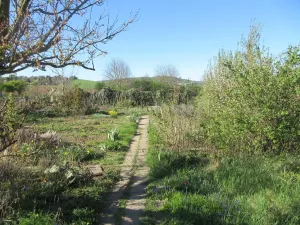 Prodej zahrady, Brno, Řezáčova, 1392 m2
