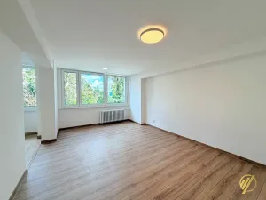 Prodej bytu 2+1, Mladá Boleslav, Purkyňova, 60 m2