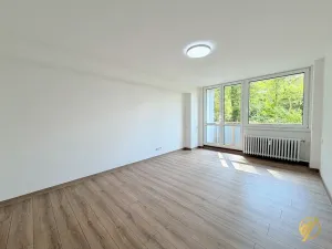 Prodej bytu 2+1, Mladá Boleslav, Purkyňova, 60 m2