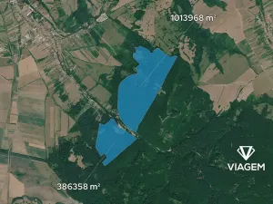 Prodej podílu lesa, Javorník, 8512 m2