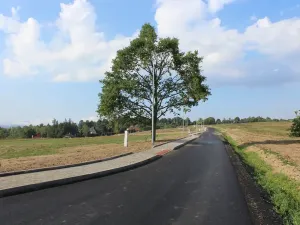 Prodej pozemku pro bydlení, Dalovice, Okrajová, 839 m2