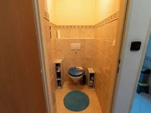 Prodej rodinného domu, Brno, Melatín, 272 m2