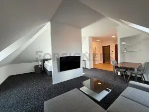 Pronájem bytu 1+kk, Hradec Králové, Malé náměstí, 80 m2