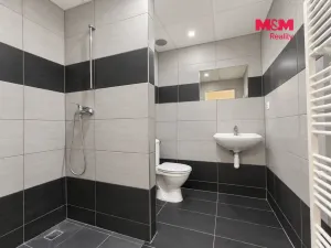 Pronájem bytu 1+kk, Hradec Králové, Sušilova, 32 m2