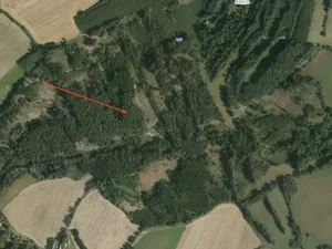 Prodej lesa, Koberovice, 19133 m2