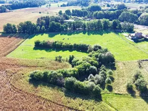 Prodej pozemku pro bydlení, Albrechtice nad Orlicí, 3829 m2