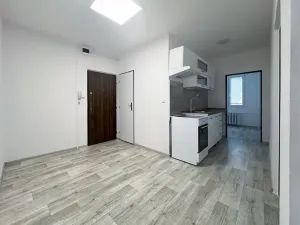 Pronájem bytu 3+1, Chomutov, 17. listopadu, 63 m2