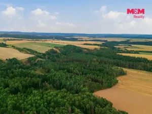 Prodej lesa, Břežany, 3520 m2