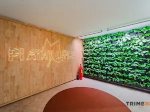 Pronájem kanceláře, Ostrava - Moravská Ostrava, 28. října, 345 m2