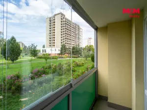 Prodej bytu 1+kk, Hradec Králové - Nový Hradec Králové, Jana Masaryka, 35 m2