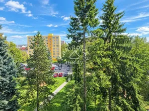 Pronájem bytu 3+1, České Budějovice, Kostelní, 67 m2