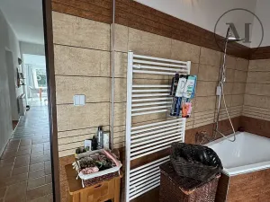 Prodej rodinného domu, Nová Ves, 480 m2