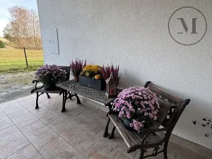 Prodej rodinného domu, Nová Ves, 480 m2