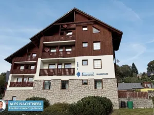 Pronájem bytu 1+kk, Albrechtice v Jizerských horách, 30 m2