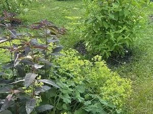 Prodej rodinného domu, Hrob, 80 m2
