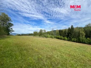 Prodej pozemku pro bydlení, Záblatí - Albrechtovice, 64409 m2