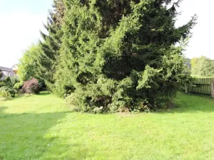 Prodej chalupy, Polevsko, 150 m2