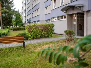 Prodej bytu 3+1, České Budějovice - České Budějovice 2, Netolická, 67 m2