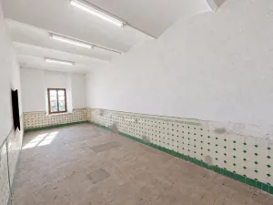 Pronájem skladu, Červené Pečky, Dr. Dvořáka, 33 m2