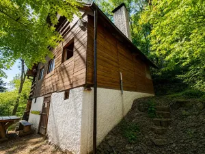 Prodej chaty, Sýkořice, 85 m2