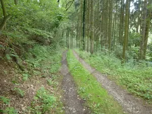 Prodej chaty, Sýkořice, 85 m2