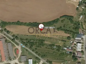 Prodej pole, Osvětimany, 2416 m2