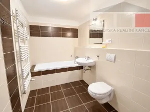 Pronájem bytu 1+kk, Brandýs nad Labem-Stará Boleslav, U Rokle, 38 m2