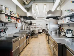 Prodej restaurace, Deštné v Orlických horách, 751 m2