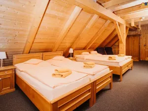 Prodej restaurace, Deštné v Orlických horách, 751 m2