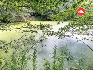 Prodej rodinného domu, Stružná, 240 m2